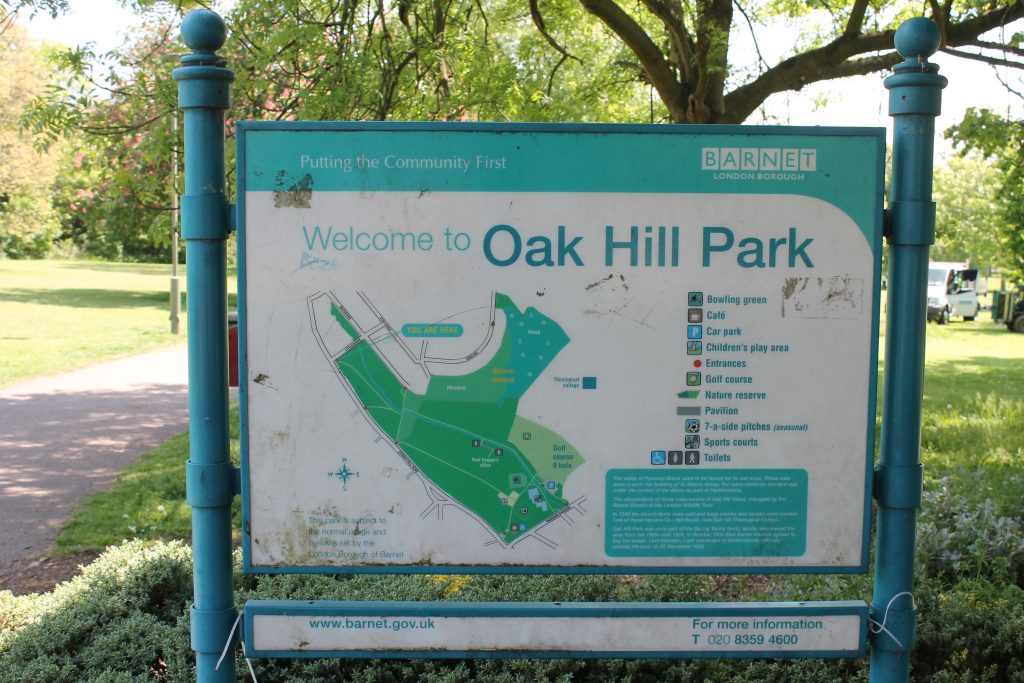 Oak Hill Park and Historic East // High Living