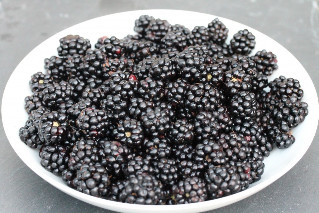 Blackberries and Bramble Jelly // High Living Barnet