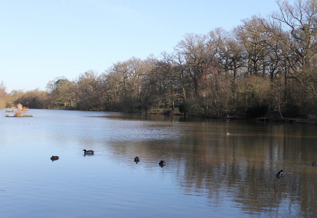 Monken Hadley Common // High Living Barnet