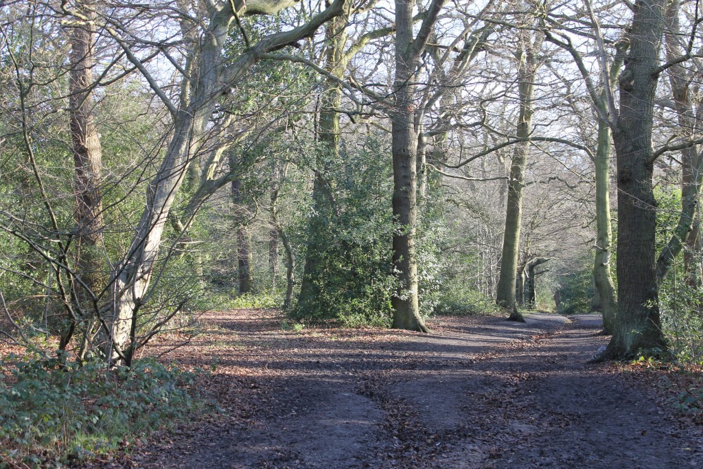 Monken Hadley Common // High Living Barnet